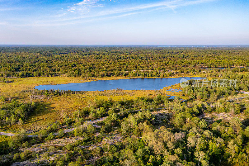 黄昏时的Muskoka Torrance Barrens Dark-Sky保护区，Gravenhurst，加拿大